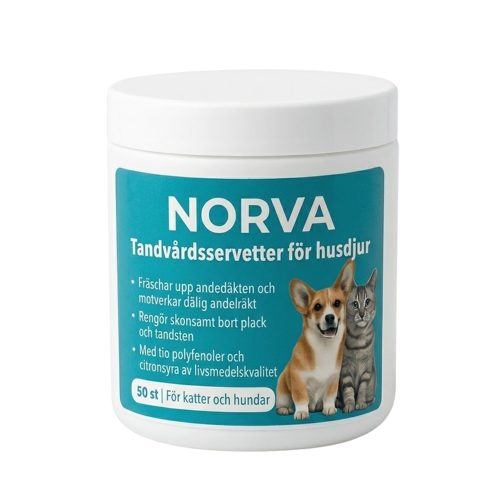 NORVA Tandvårdsservetter för husdjur