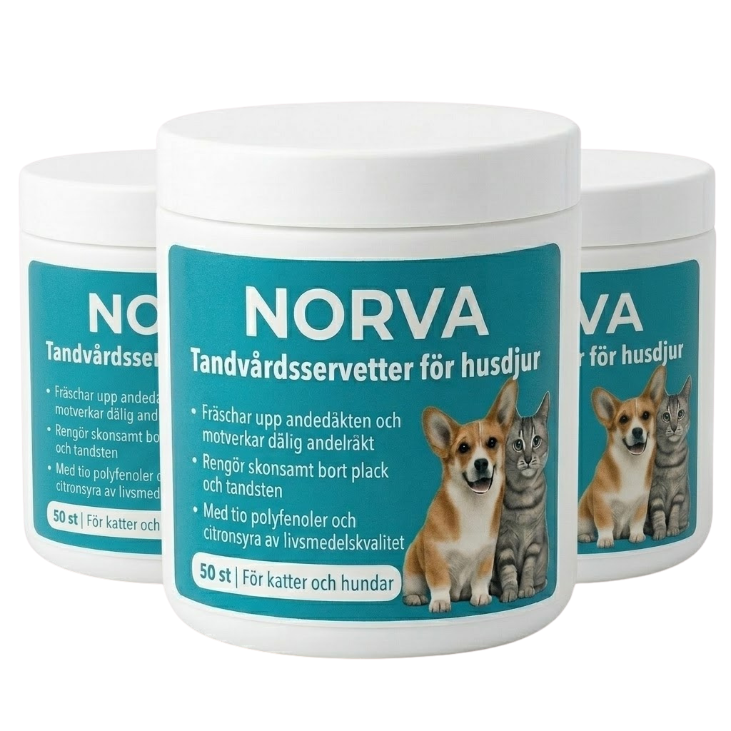 NORVA Tandvårdsservetter för husdjur