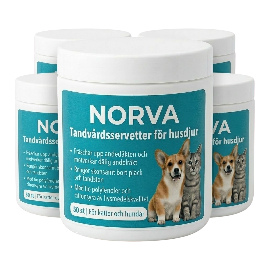 NORVA Tandvårdsservetter för husdjur