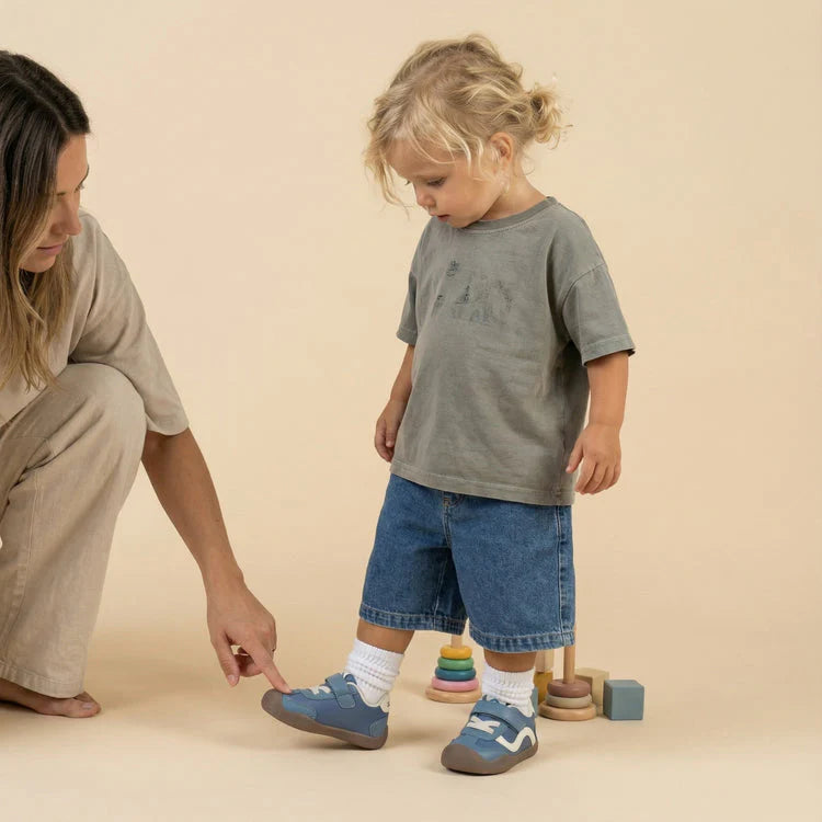 Norva Classic - Kaura